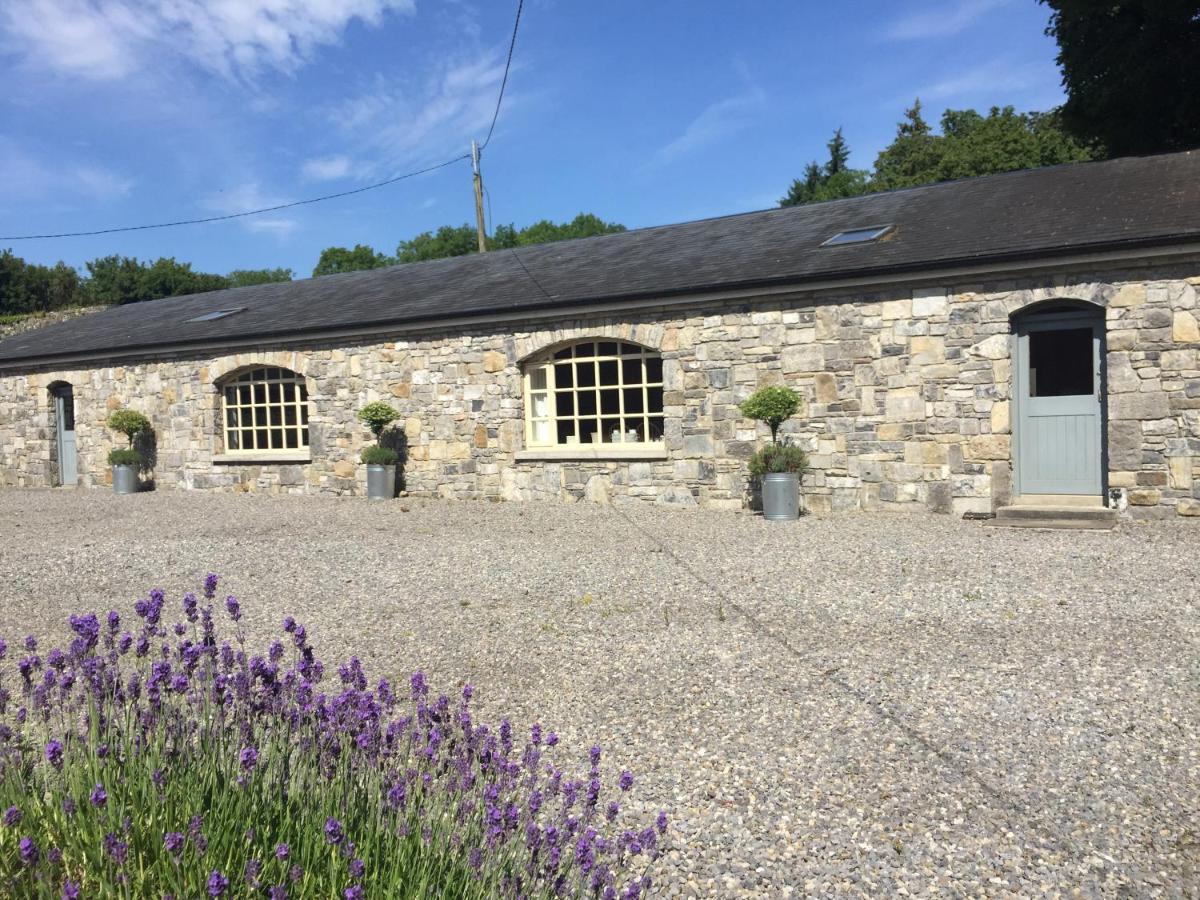 Clonalis House - Guesthouse Castlerea 外观 照片